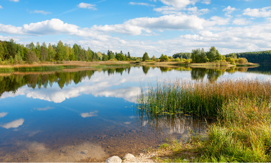 Natura Siberica – a European company born from Siberian nature