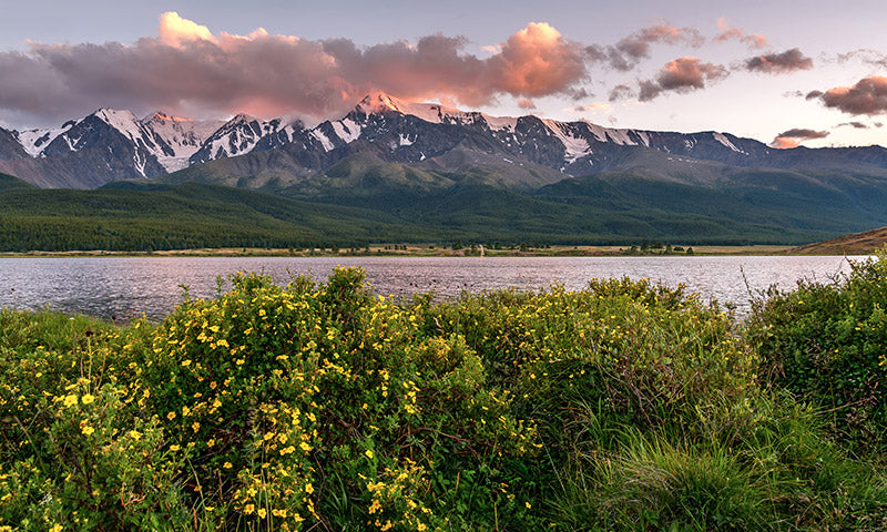 The amazing skincare benefits of vitamin C