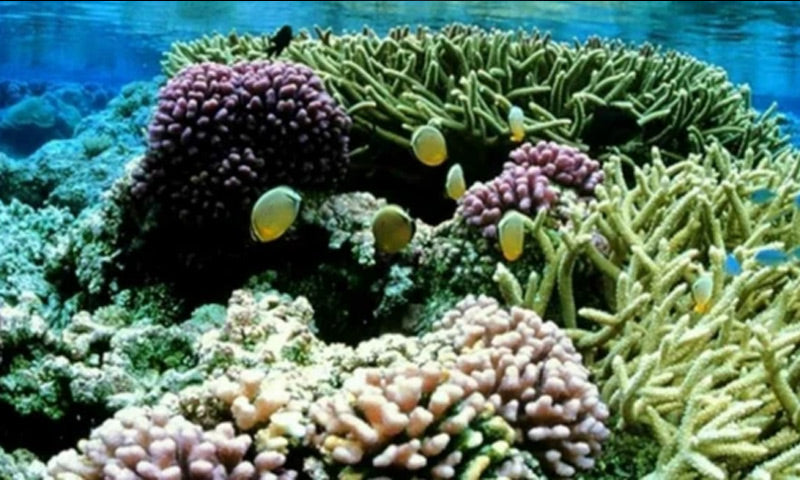 Do your bit for the environment - now!